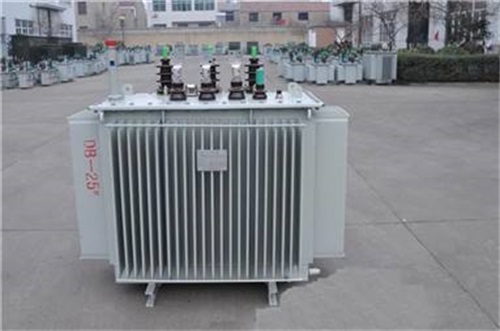 阳江S13-800KV油浸式变压器厂家