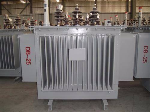 阳江S13-100KVA/10KV/0.4KV油浸式变压器